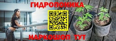 apvp Можайск